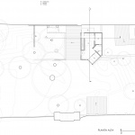 阿莫纳住宅，墨西哥 / COLAR Colectivo de Arquitectura