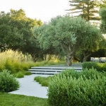 2026 ASLA住宅设计类荣誉奖：Bella Oaks住宅，美国 / Andrea Cochran Landscape Architecture