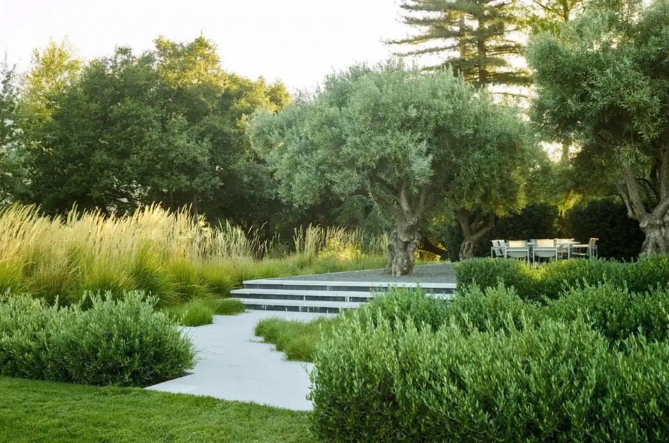 Bella Oaks