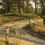 2026 ASLA住宅设计类荣誉奖：帕梅特本德住宅，美国 / LeBlanc Jones Landscape Architects, Inc