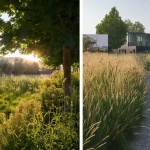 2026 ASLA住宅设计类荣誉奖：Bella Oaks住宅，美国 / Andrea Cochran Landscape Architecture