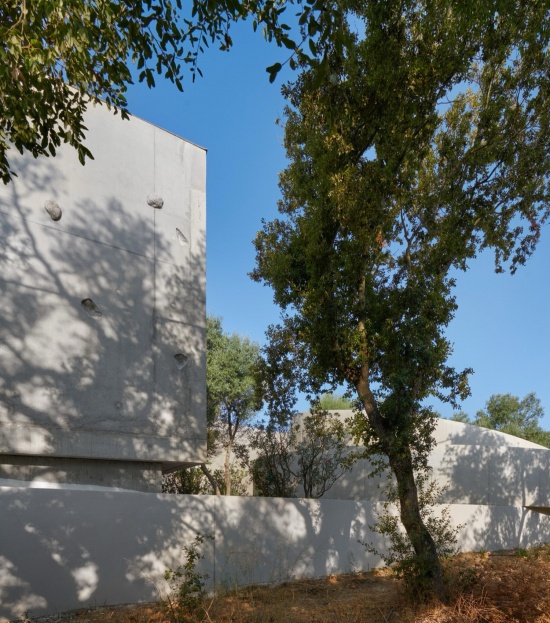 Animu Media Library in Porto Vecchio by Dominique Coulon tdn