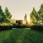 2026 ASLA住宅设计类荣誉奖：Bella Oaks住宅，美国 / Andrea Cochran Landscape Architecture