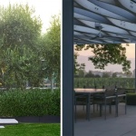2026 ASLA住宅设计类荣誉奖：Bella Oaks住宅，美国 / Andrea Cochran Landscape Architecture