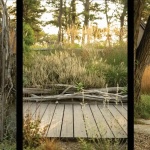2026 ASLA住宅设计类荣誉奖：帕梅特本德住宅，美国 / LeBlanc Jones Landscape Architects, Inc