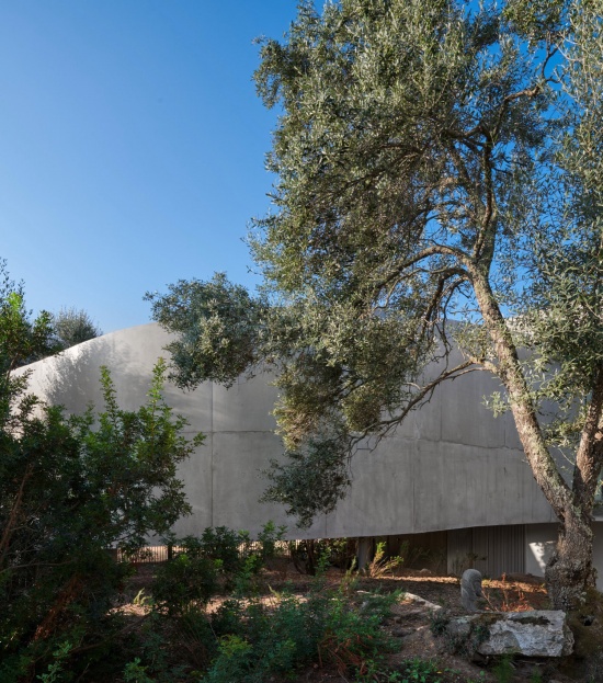 Animu Media Library in Porto Vecchio by Dominique Coulon yn7