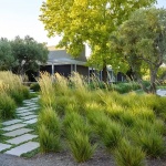 2026 ASLA住宅设计类荣誉奖：Bella Oaks住宅，美国 / Andrea Cochran Landscape Architecture