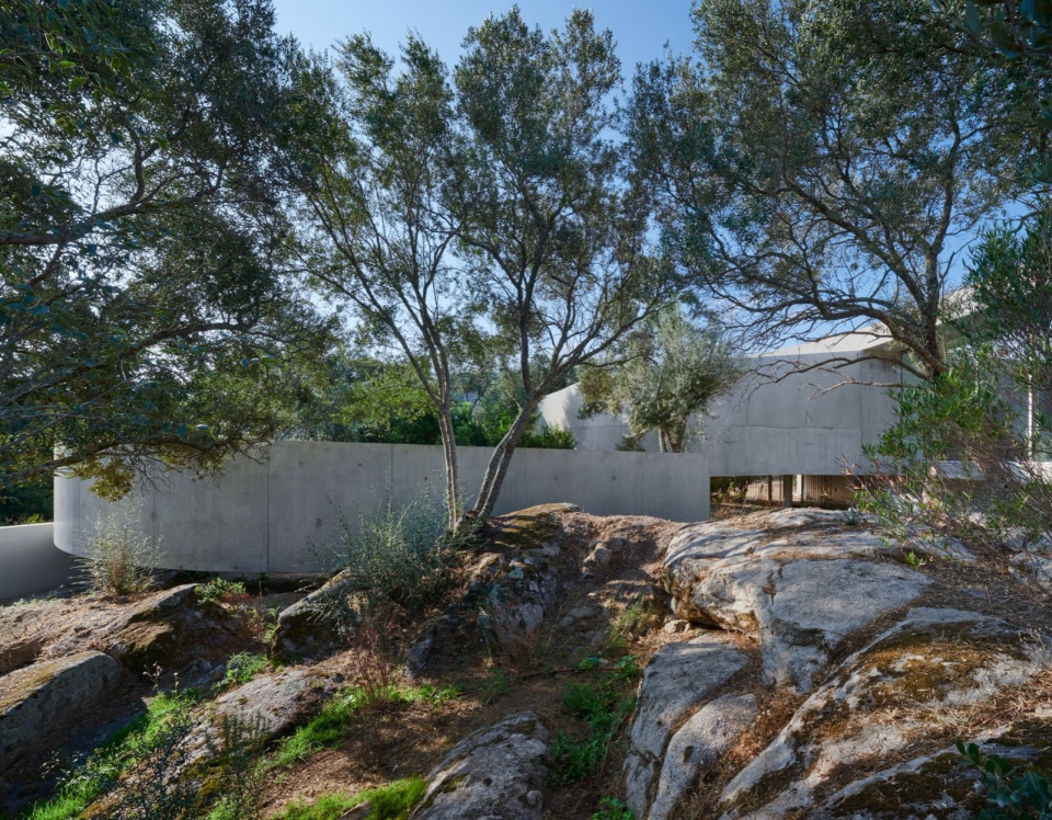 Animu Media Library in Porto Vecchio by Dominique Coulon rc7
