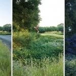 2026 ASLA住宅设计类荣誉奖：Bella Oaks住宅，美国 / Andrea Cochran Landscape Architecture