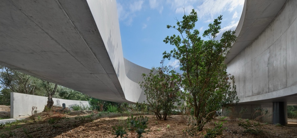Animu Media Library in Porto Vecchio by Dominique Coulon