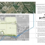 2026 ASLA住宅设计类荣誉奖：Bella Oaks住宅，美国 / Andrea Cochran Landscape Architecture