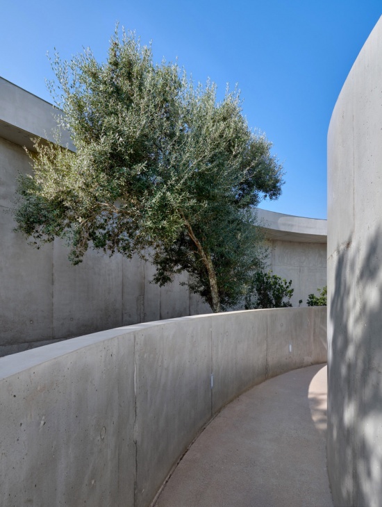 Animu Media Library in Porto Vecchio by Dominique Coulon
