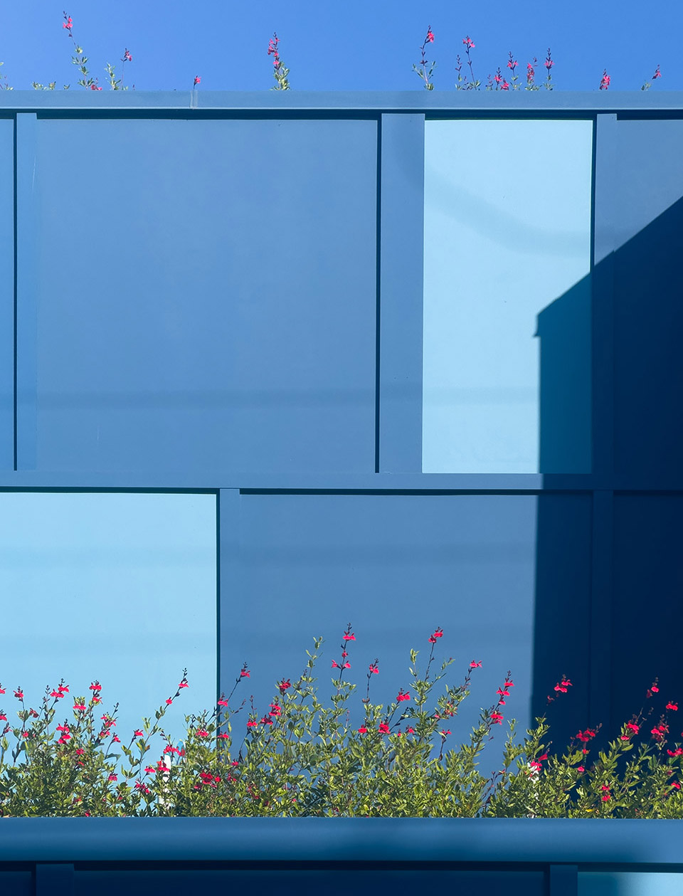 berkeley station by brooks scarpa