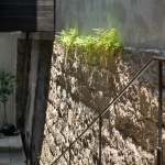Jinque 1912 by Geomebox Concept