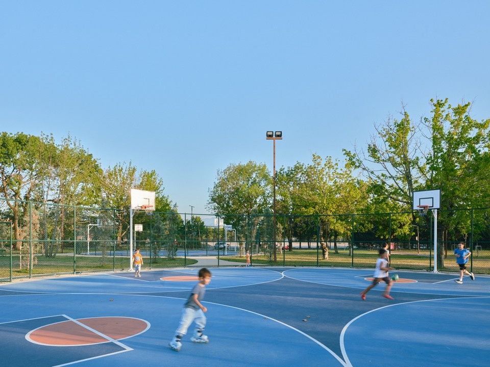 公园中的篮球活动 / Basketball activities in the park