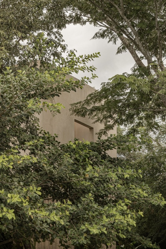 与住宅共生的树木 / Trees integrated with the house