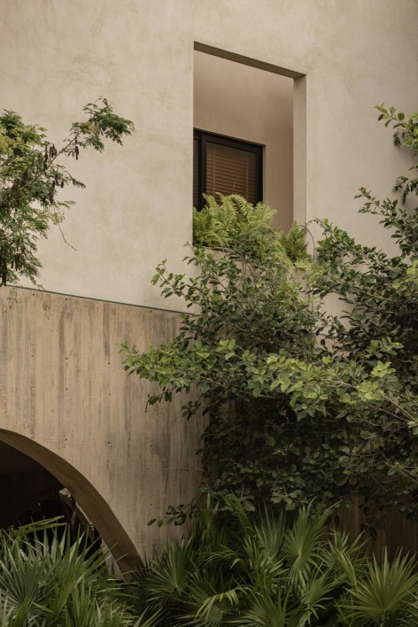 墙面、开口与植物 / Walls, openings and planting