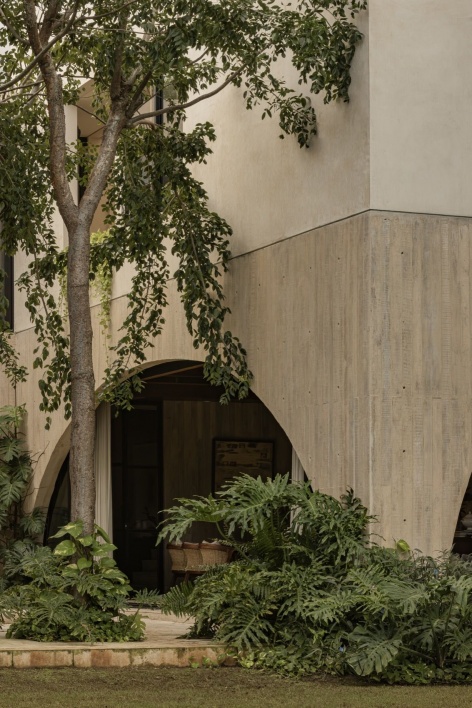 树木与混凝土基座 / Tree and concrete base