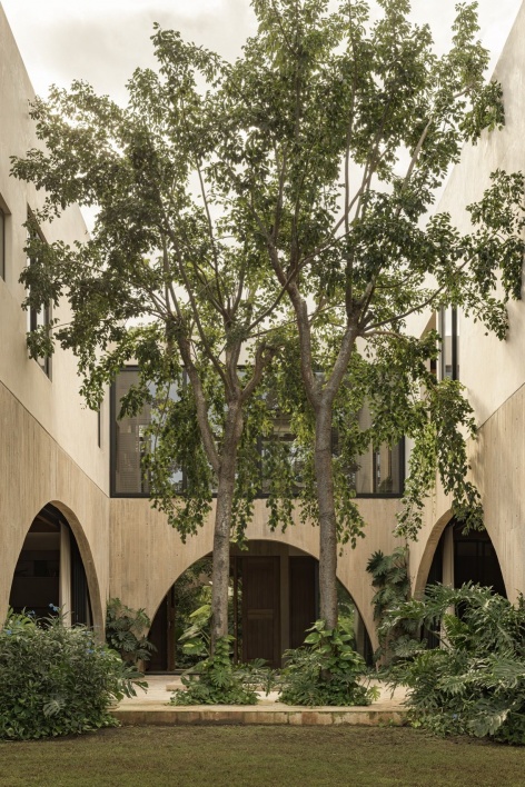庭院中的保留树木 / Preserved tree in the courtyard