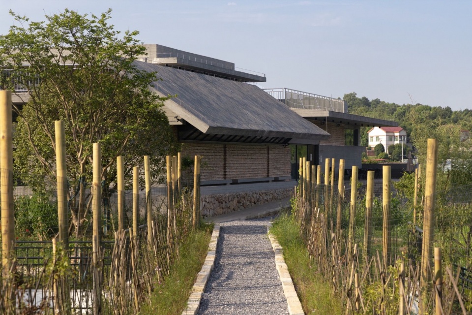 通向美术馆的步道 / Path leading to the museum