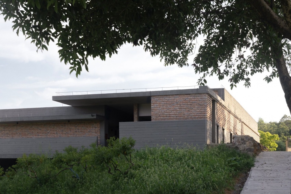树荫下的建筑 / The building beneath the trees
