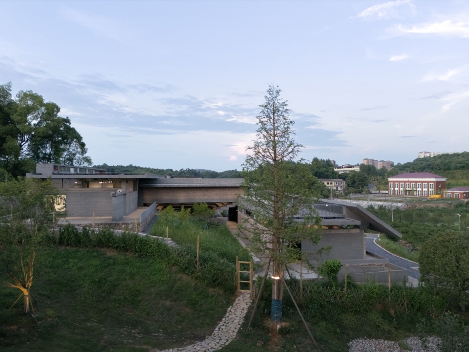 建筑与周边植被 / The building and surrounding planting