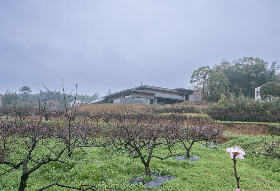 建筑与桃花园 / The building and peach grove