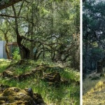 2026 ASLA HONOR AWARD, RESIDENTIAL DESIGN: Moss Rock, USA by GROUND STUDIO
