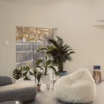CS2住宅，美国 / NEMESTUDIO