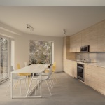 CS2住宅，美国 / NEMESTUDIO