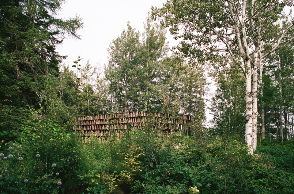 从森林中远望装置 / Distant view from the forest