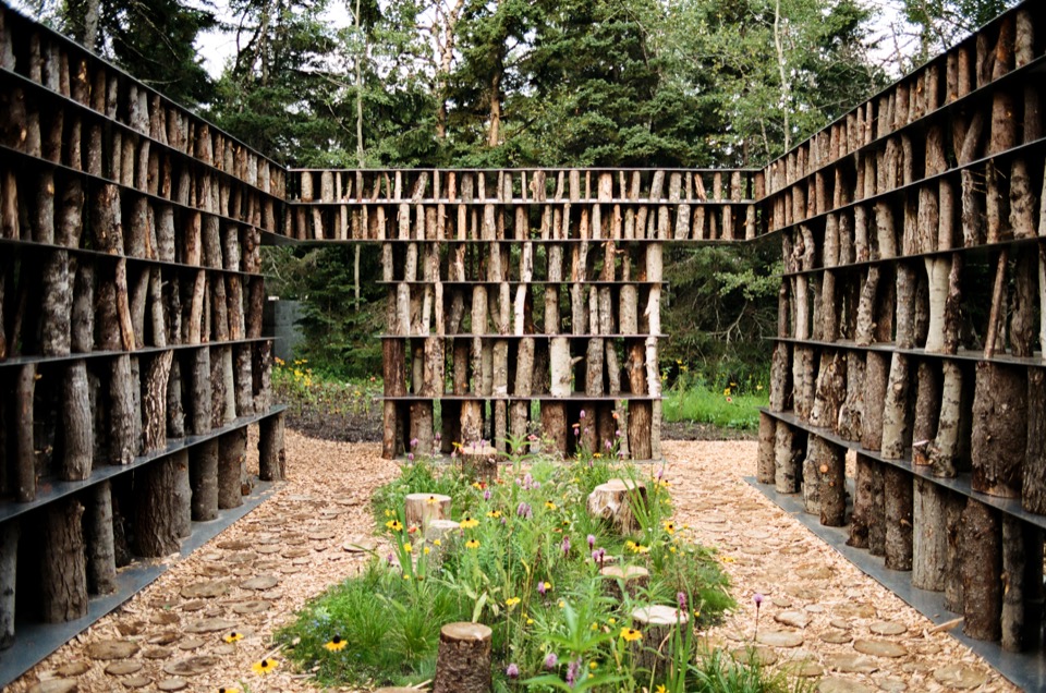内部走廊与中央野花花园 / Inner corridor and central wildflower garden