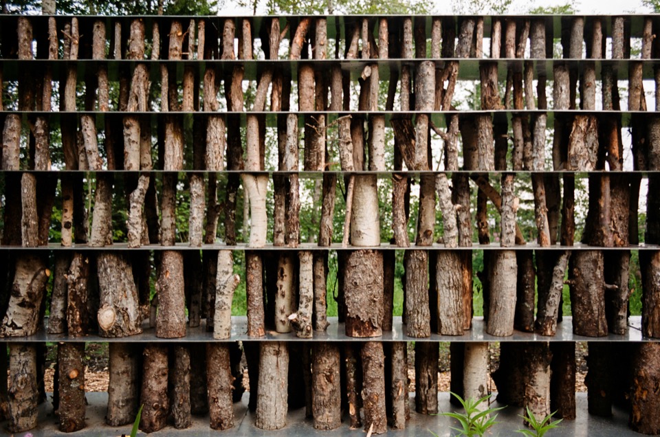 圆木墙肌理特写 / Close-up of the log wall texture