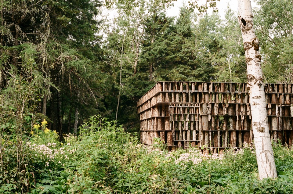 白桦与草甸之间的装置 / The pavilion amid birch and meadow