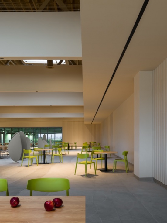 员工餐厅 / Staff dining area