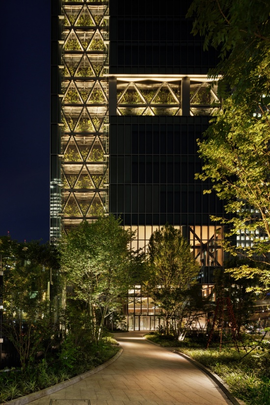 绿道夜景 / The green promenade at night