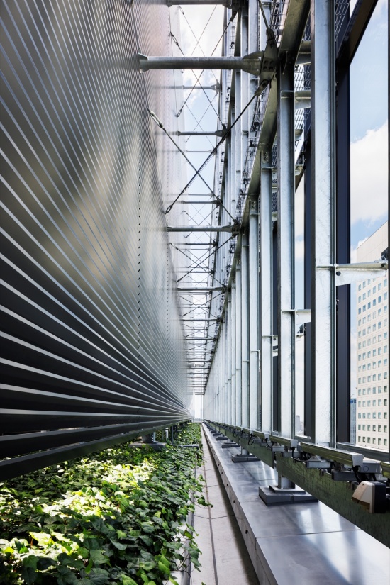 幕墙与支撑细部 / Detail of the curtain wall and braces