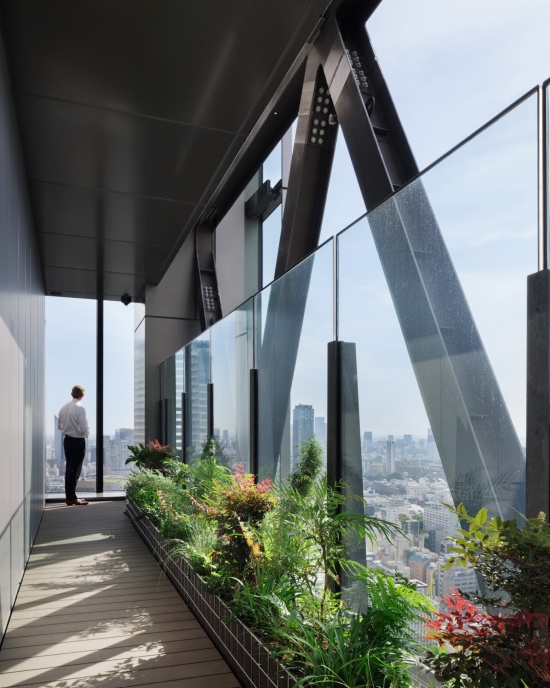 绿色露台 / The green terrace