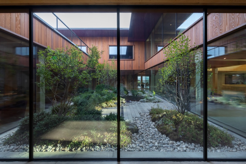 引入建筑核心的冬季花园,Winter garden at the heart of the building