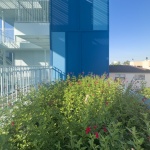 Berkeley Station保障性住房，美国 / Brooks + Scarpa