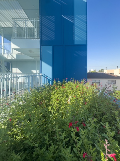 露台与花箱 / Terrace and planters