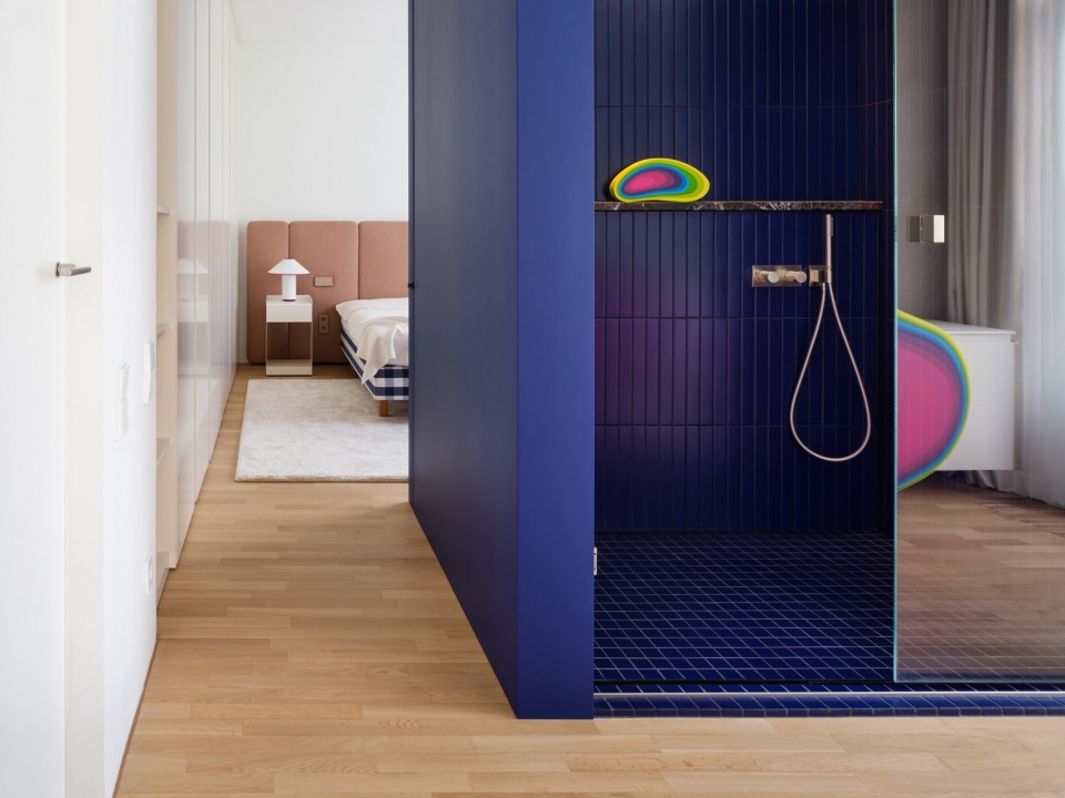 主卧与淋浴空间的关系 / Connection between the bedroom and shower