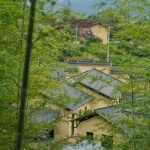 Lost villa in Xiaohoushe, Songyang by kong_architects