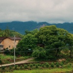 Lost villa in Xiaohoushe, Songyang by kong_architects