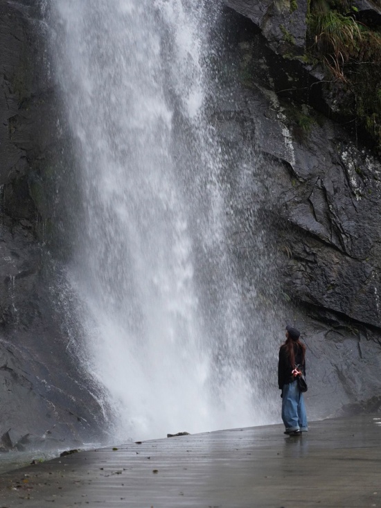 dale songyang 010 726