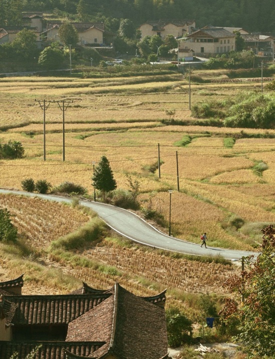 dale songyang 013 pdn