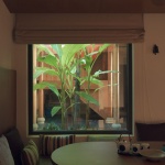 Lost villa in Xiaohoushe, Songyang by kong_architects