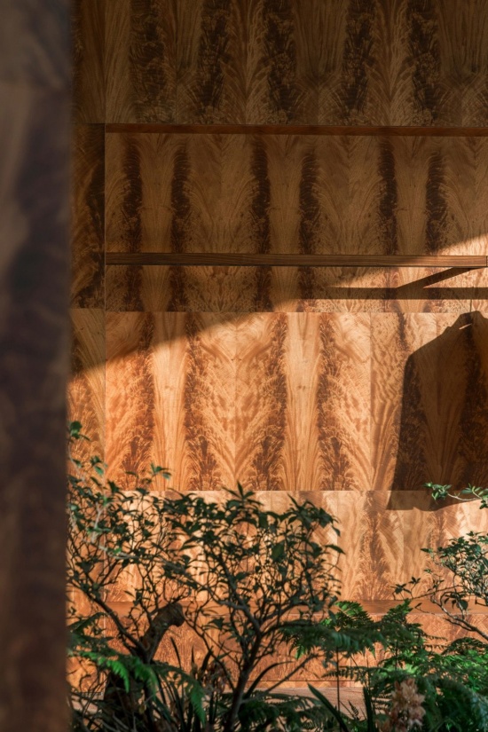 木饰面在晨光下呈现的清晰纹理 / The timber veneer reveals a crisp grain pattern in the morning light