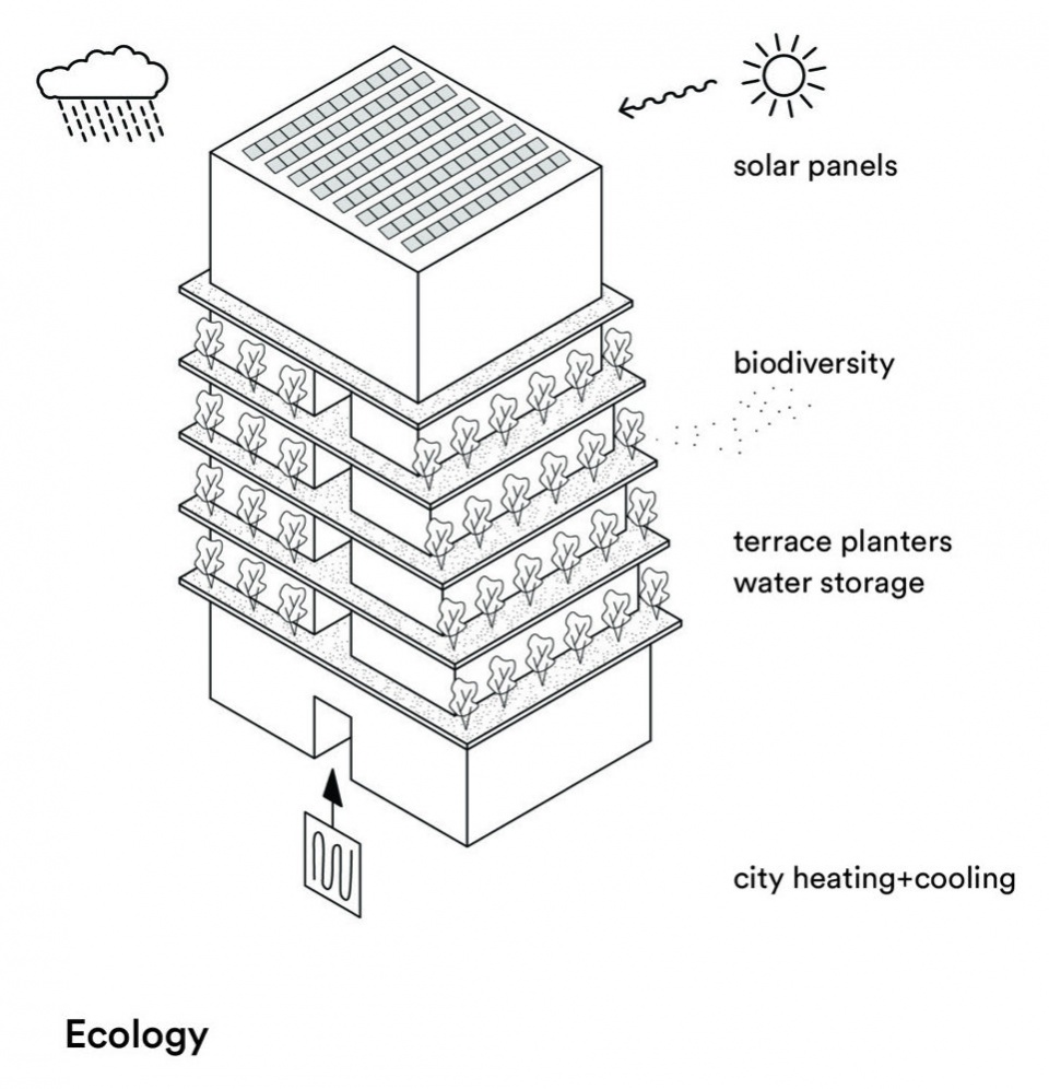 生态策略 / Ecology