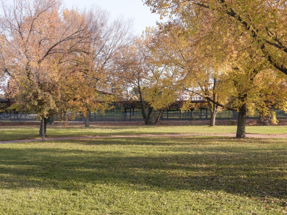 与学校相连的公园绿地 / Parkland connected to the school